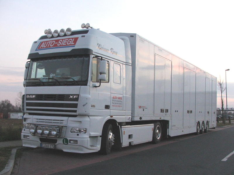 DAF XF Auto-Siegl000 (2) (2).jpg