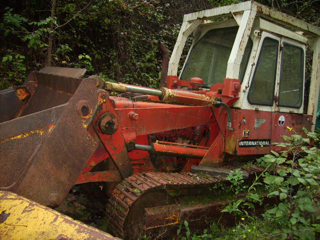 IHC125 c.jpg