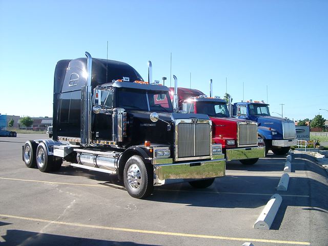 IMGP4134.jpg