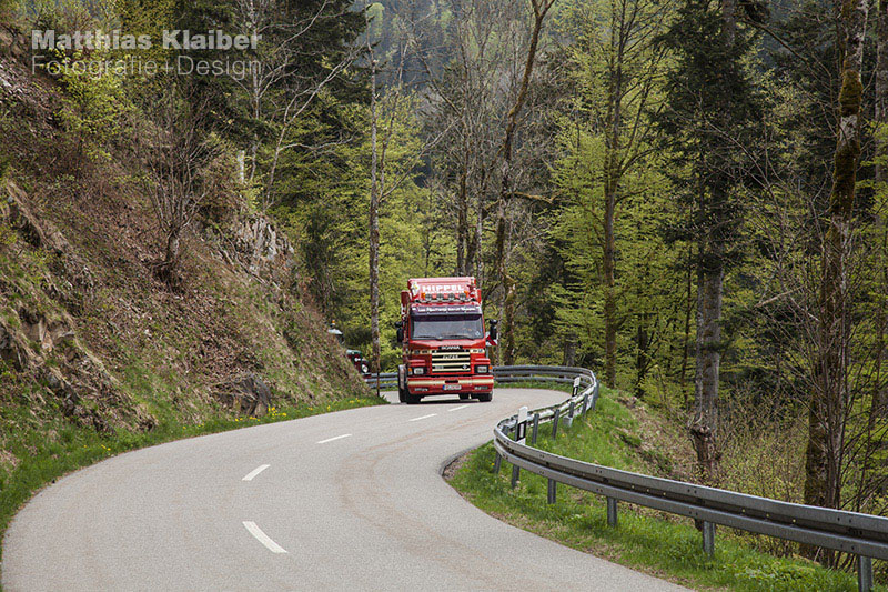 blackforest_run2015_0064.jpg