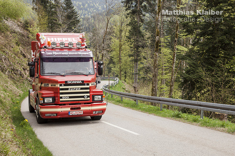 blackforest_run2015_0073-1.jpg