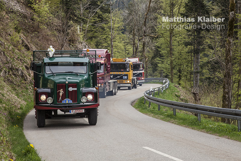 blackforest_run2015_0078.jpg