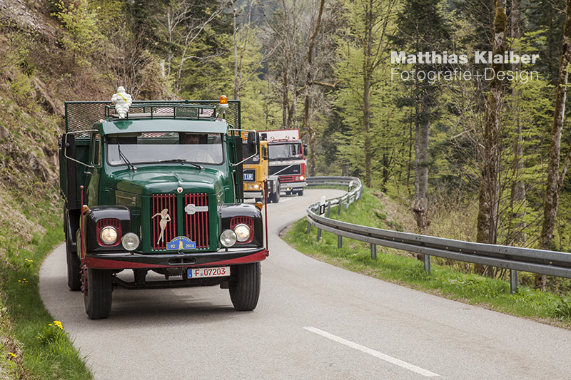 blackforest_run2015_0079.jpg
