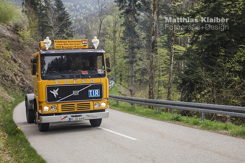 blackforest_run2015_0090.jpg