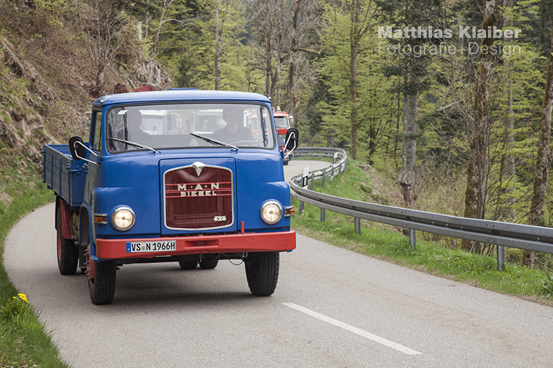 blackforest_run2015_0105.jpg