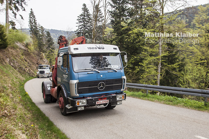 blackforest_run2015_0117.jpg