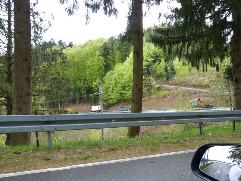 P1310326.jpg