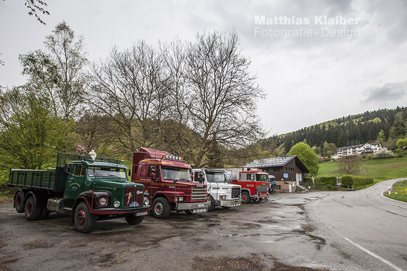 blackforest_run2015_0589.jpg
