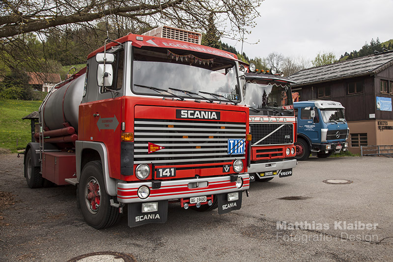 blackforest_run2015_0528.jpg