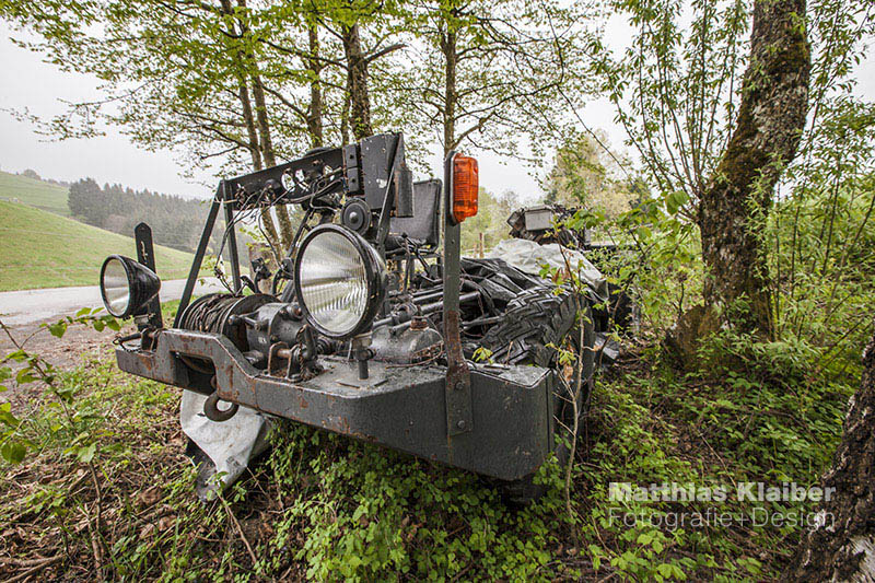 blackforest_run2015_0582.jpg