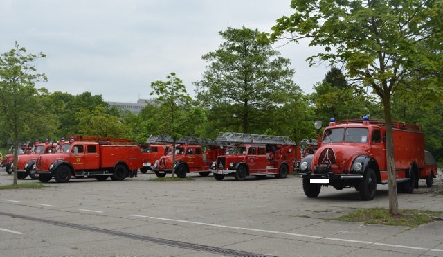 DSC_0563 (640x371).jpg