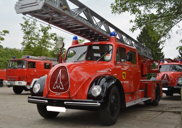 DSC_0575 (640x450).jpg