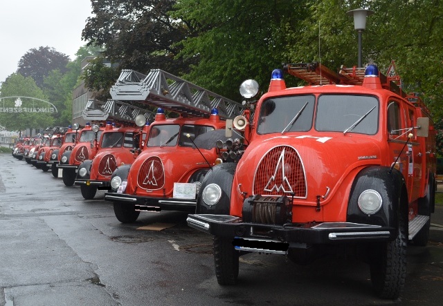 DSC_0631 (640x443).jpg