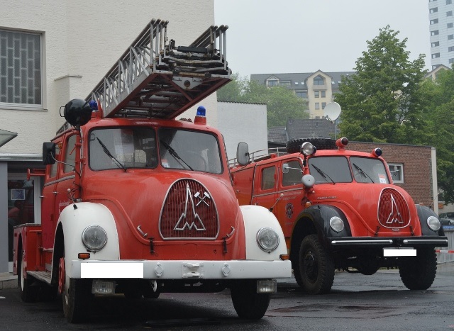 DSC_0643 (640x467).jpg