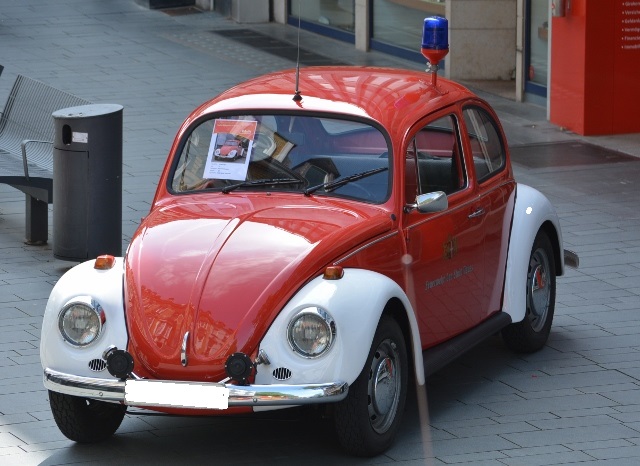 DSC_0681 (640x466).jpg