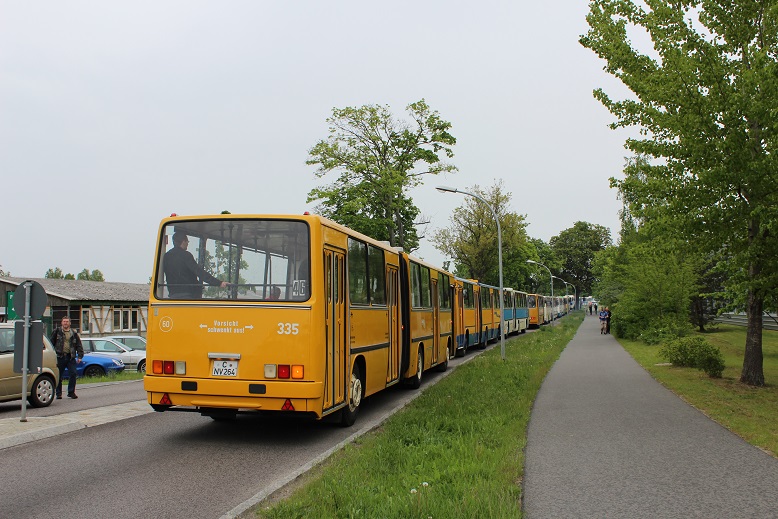 129.jpg