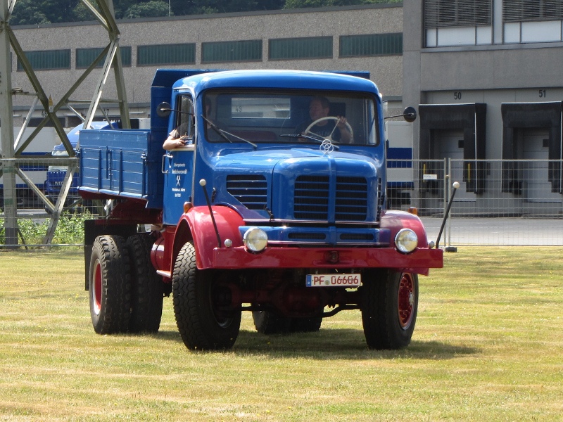 IMG_1396_800x600.jpg