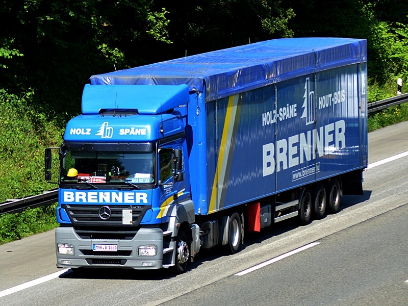 Brenner Sp&auml;ne 0046.jpg
