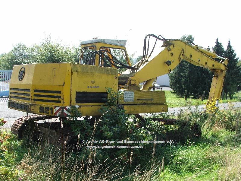 LH_921R-LC_cAG-KBM_2nb.jpg