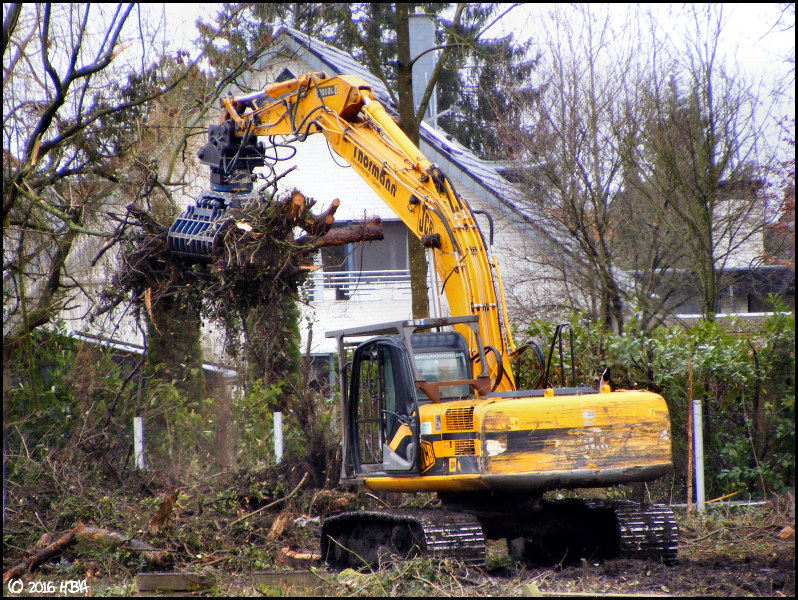 JCB220_BFF_1.jpg