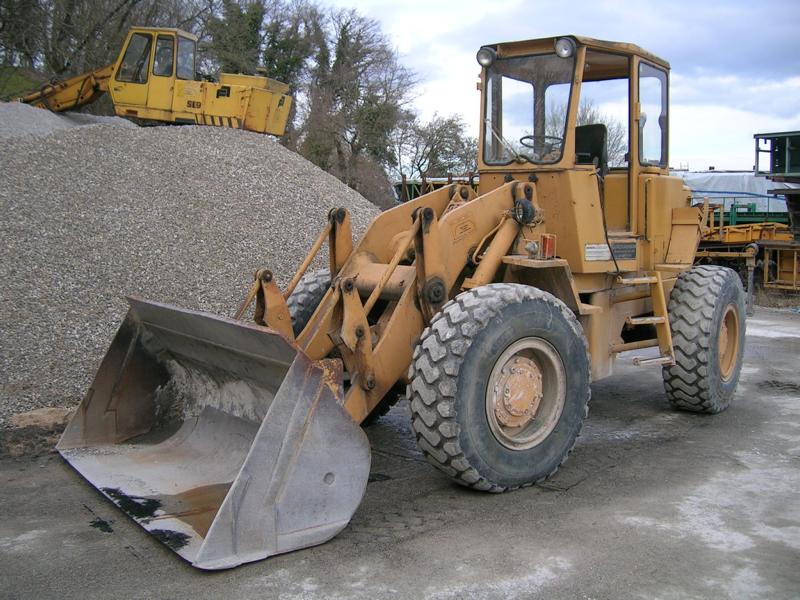 Steinbruch Wildegg 090.jpg