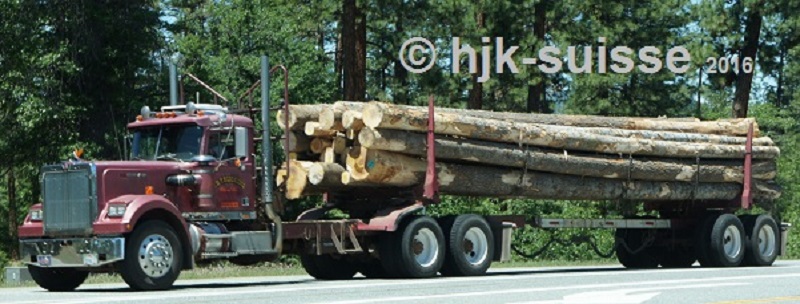 Holz_USA_001.jpg