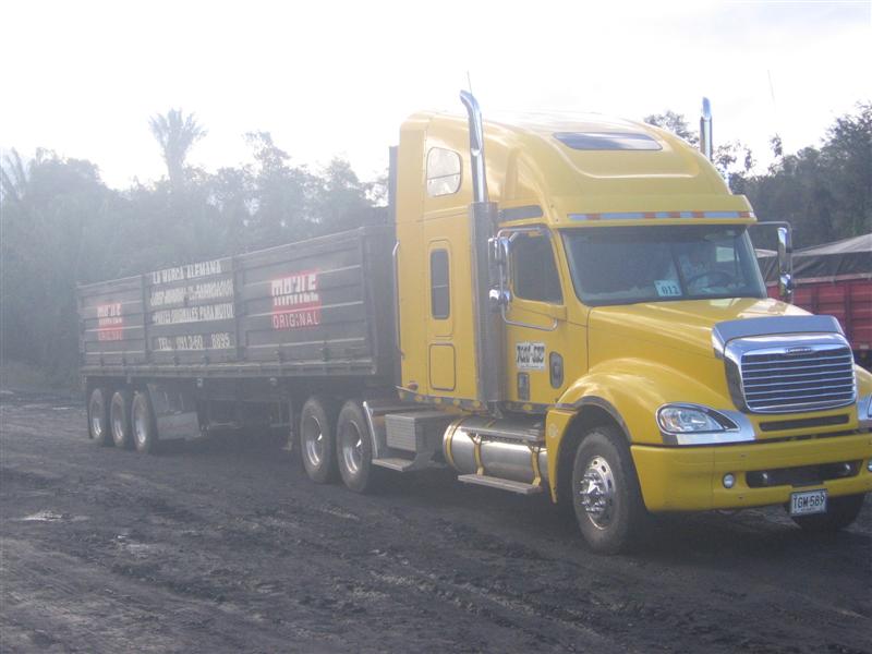 US Truck mit Mahle Werbung 002 (Medium).jpg