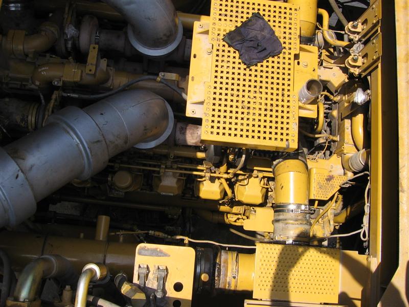 IMG_1353 (Medium).jpg