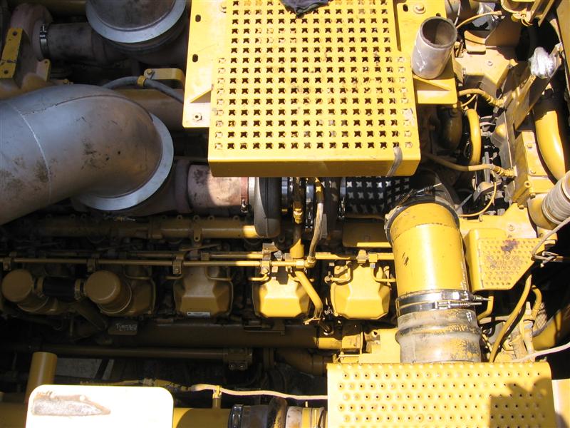 IMG_1354 (Medium).jpg