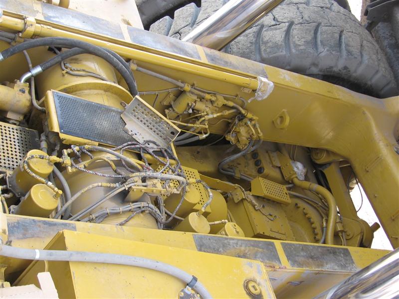 IMG_1359 (Medium).jpg