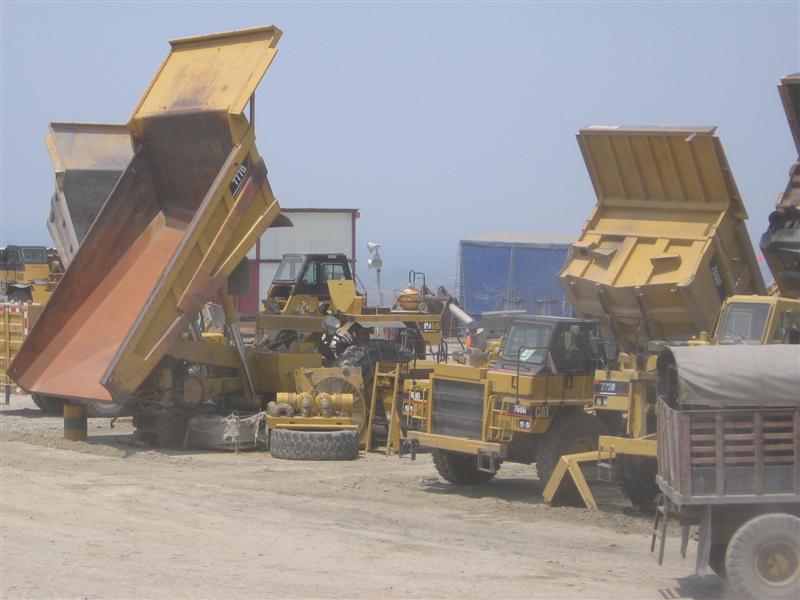 IMG_1360 (Medium).jpg