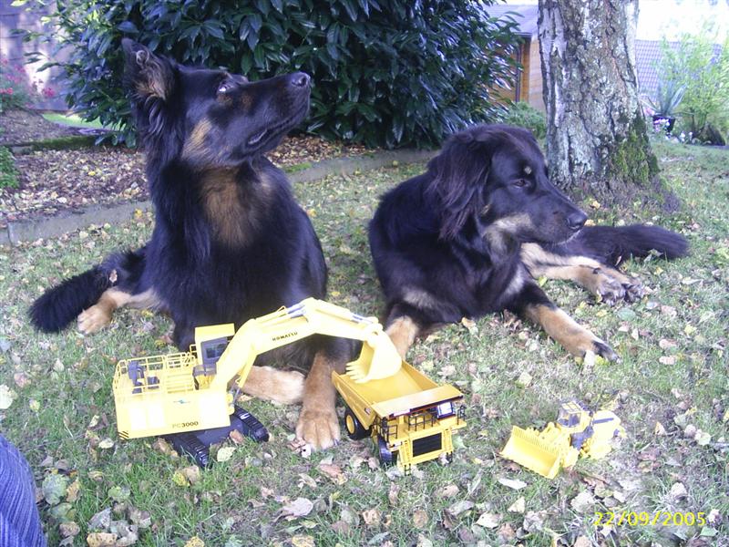 Bilder kleine Komatzus 004 (Medium).jpg