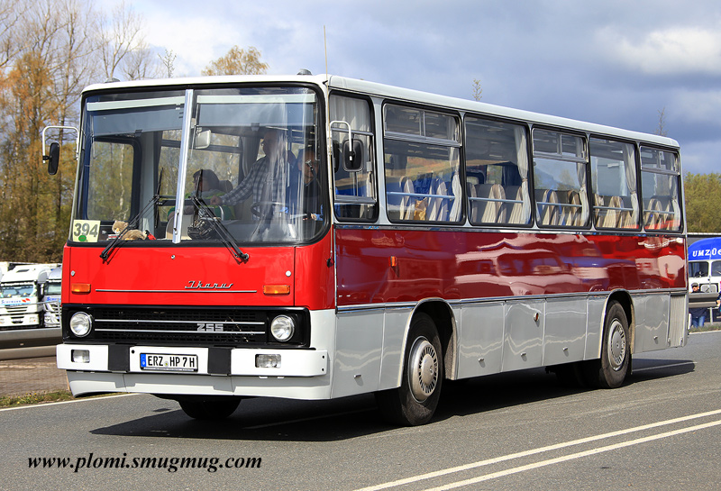 20160424_Werdau_IFA_394_Ikarus_4564_800.jpg