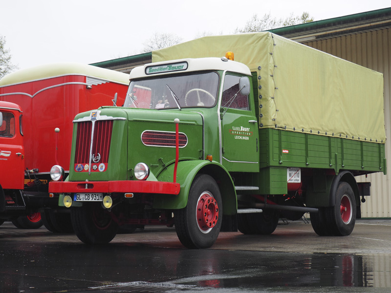 B&uuml;ssing Burgl&ouml;we.jpg