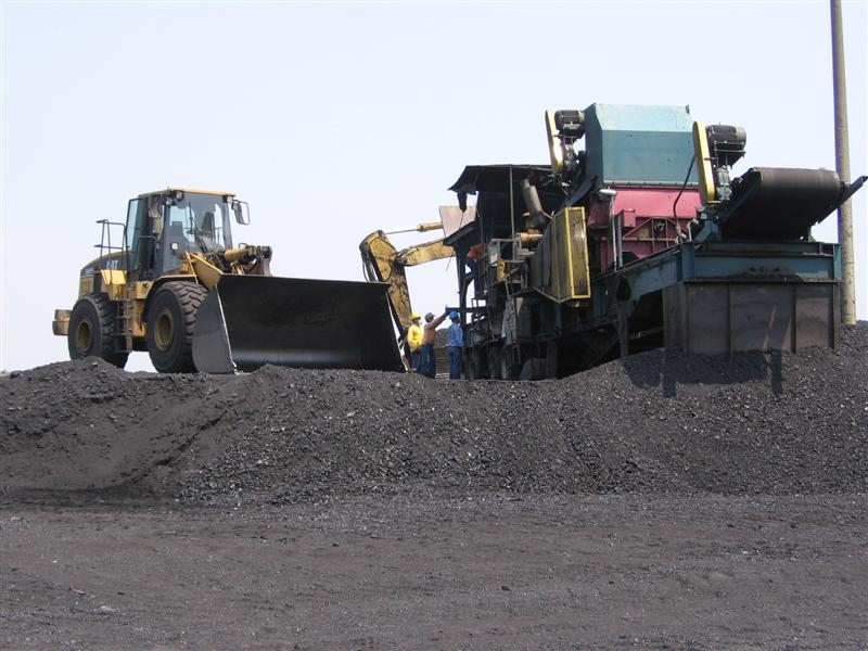 IMG_1343 (Medium).jpg