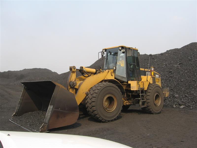 IMG_1390 (Medium).jpg