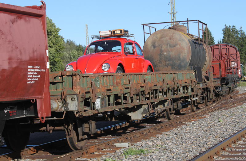 Seebrugg K&auml;fer.jpg