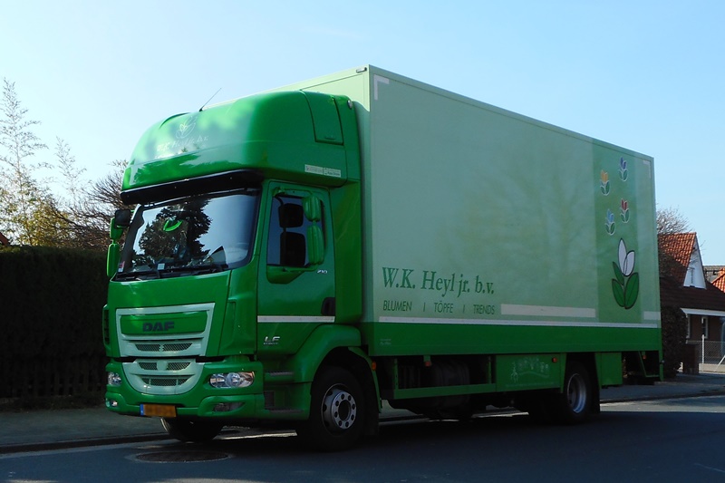 DAF (new) LF 4x2.jpg