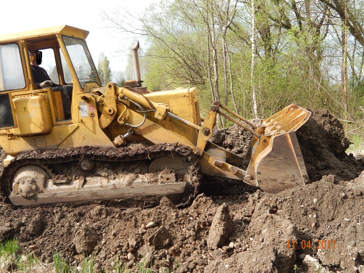 Cat951_008.jpg