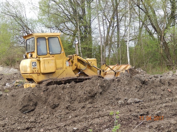 Cat951_009.jpg