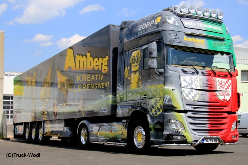 Geiselwind2017-Wolf 2017 06 02 Geiselwind0WEB.jpg