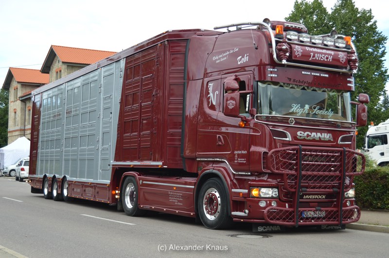 comp_DSC_0933.jpg