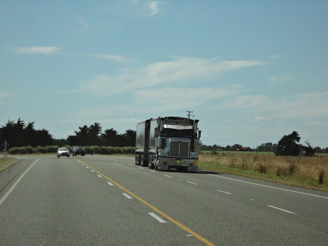 DSC01880.jpg