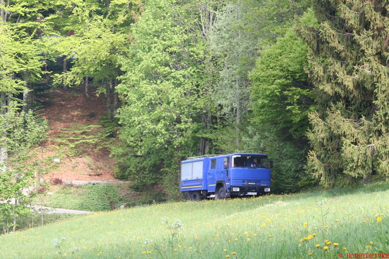 IMG_1007.jpg