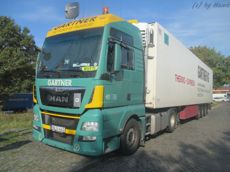 MAN TGX 18.480 - Gartner KG (H).jpg