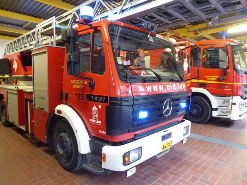 P1100374_1.jpg
