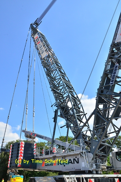 comp_DSC_4225.jpg