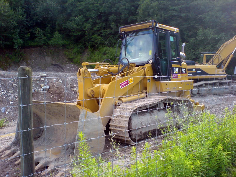 Cat_963C_3.jpg
