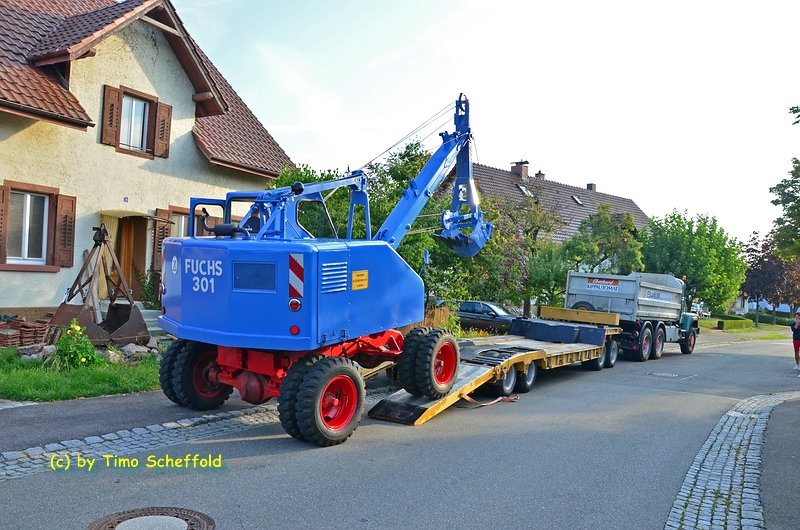 comp_DSC_7046_bearbeitet-1.jpg