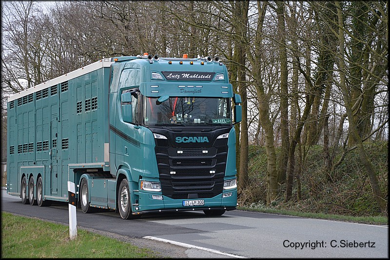 Scania Mahlstedt.jpg
